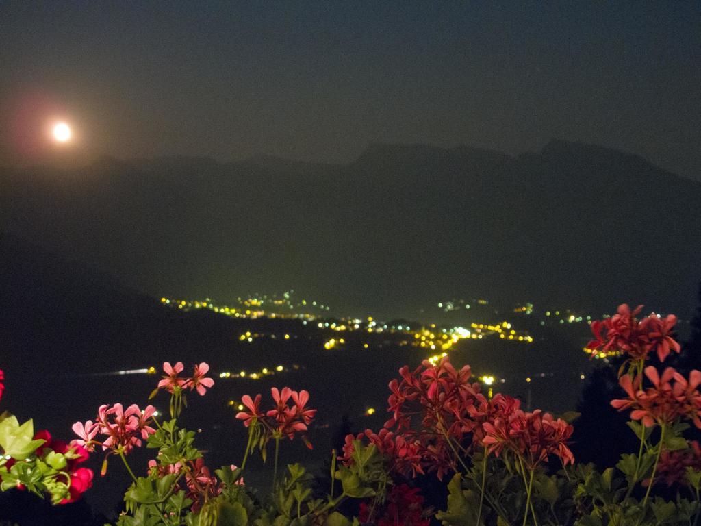 B&B Alba Sul Lago Pergine Valsugana Exterior foto