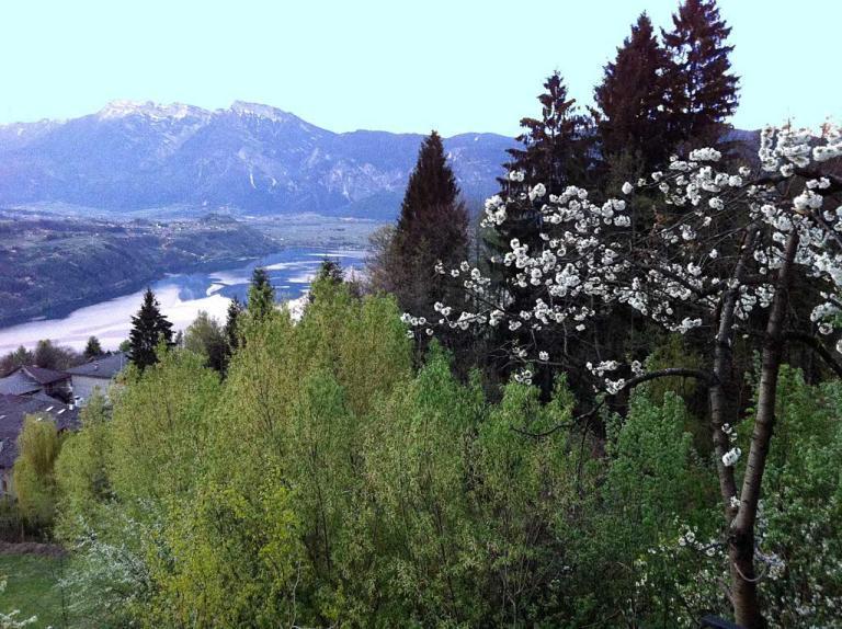 B&B Alba Sul Lago Pergine Valsugana Exterior foto