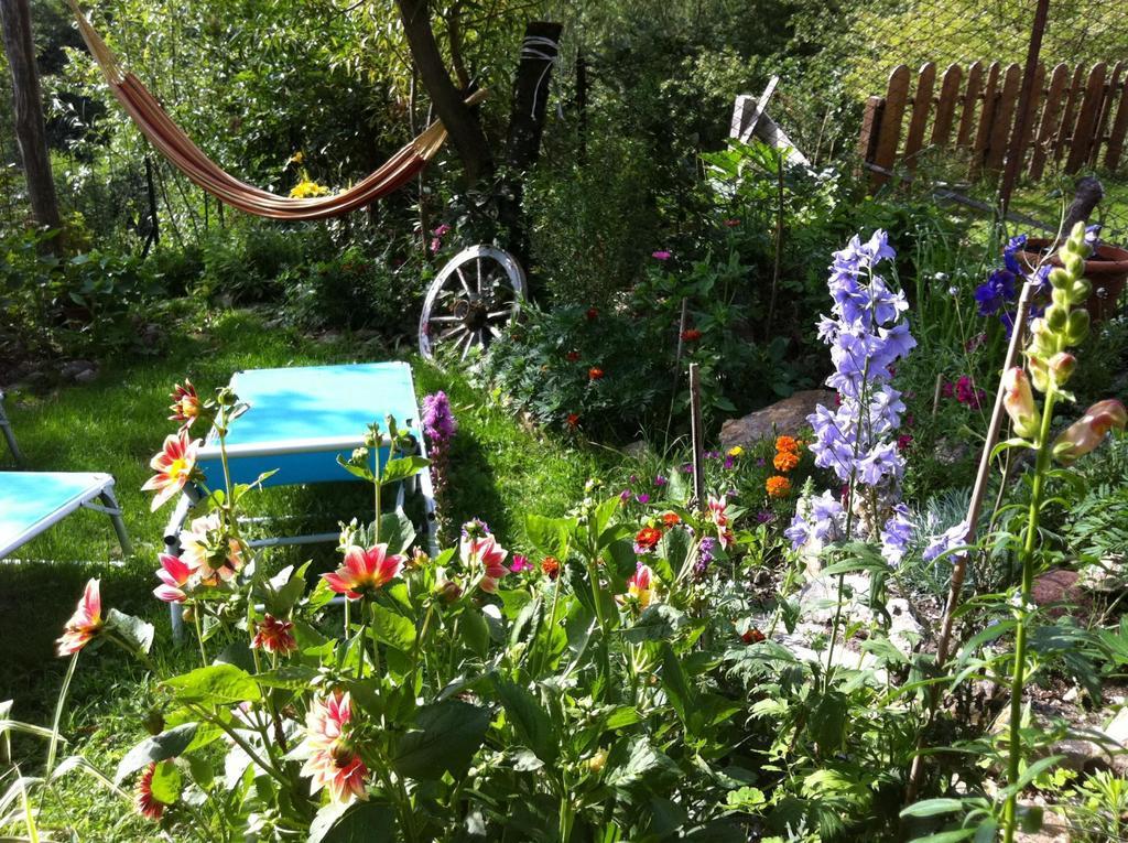 B&B Alba Sul Lago Pergine Valsugana Exterior foto